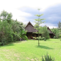 flamingo-hill-tented (1)