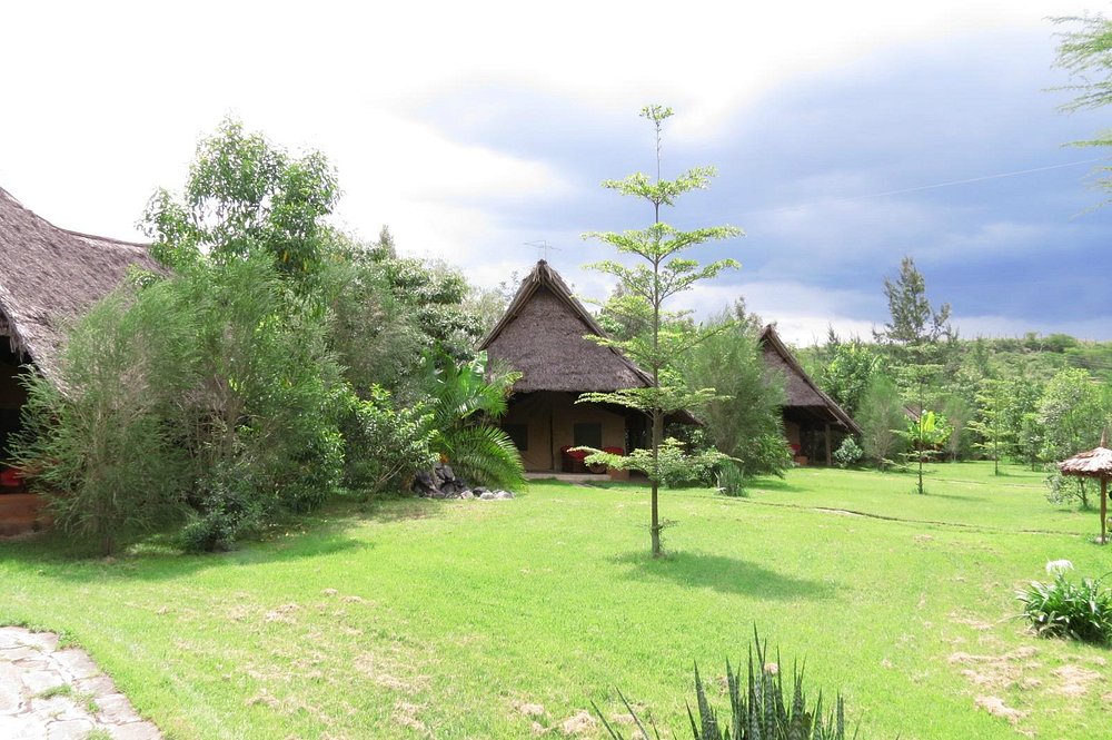 flamingo-hill-tented (1)